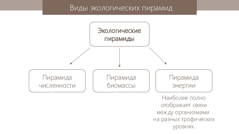 Передача перемещение