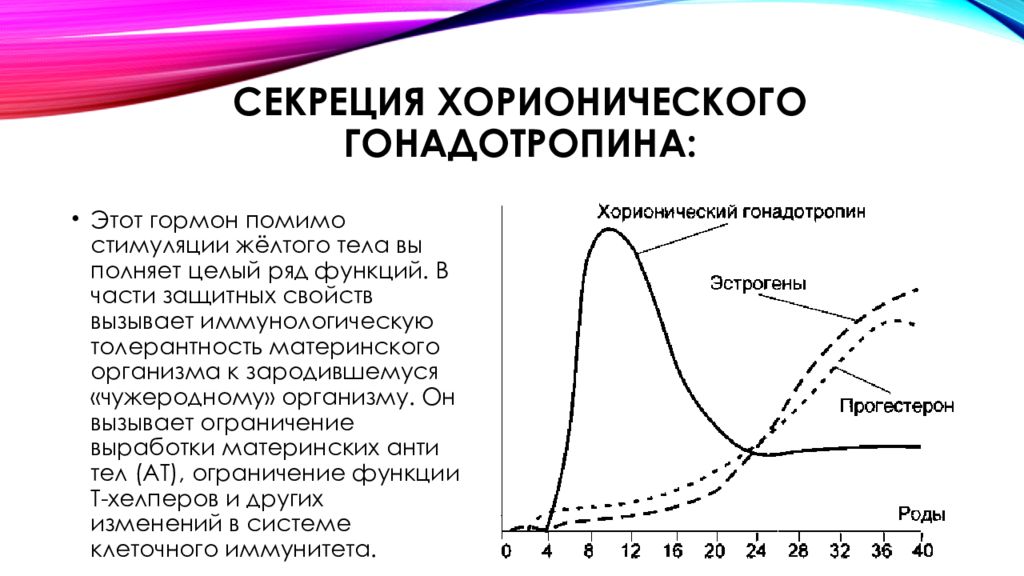 Синтез гонадотропинов осуществляется в. Базальная и стимулирующая секреция. Избыток гонадотропина болезнь.