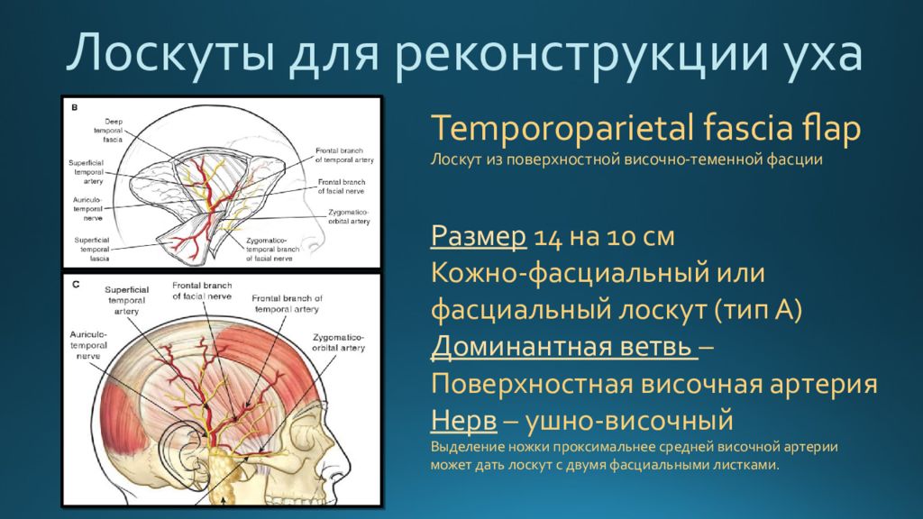 Оперативная хирургия головы и шеи презентация