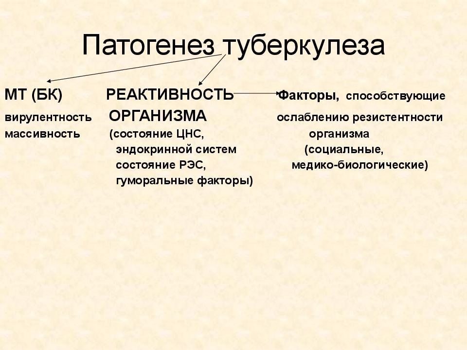 Патогенез туберкулеза презентация