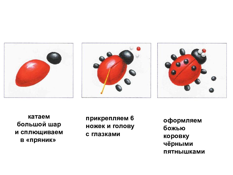 Насекомые из пластилина для дошкольников пошагово картинки