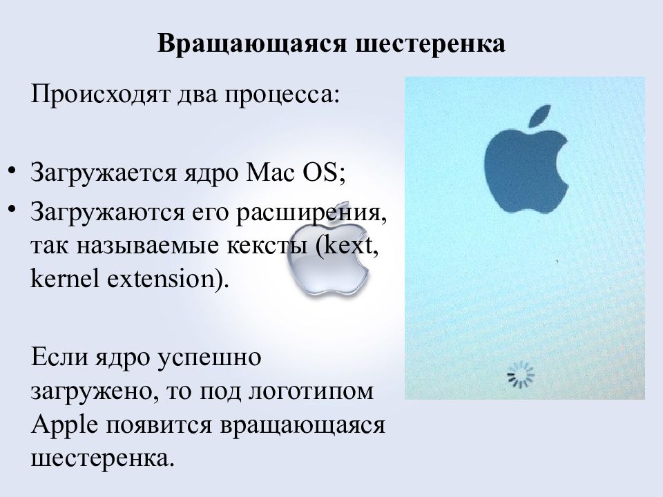 Ядро mac os. Ядро mac os