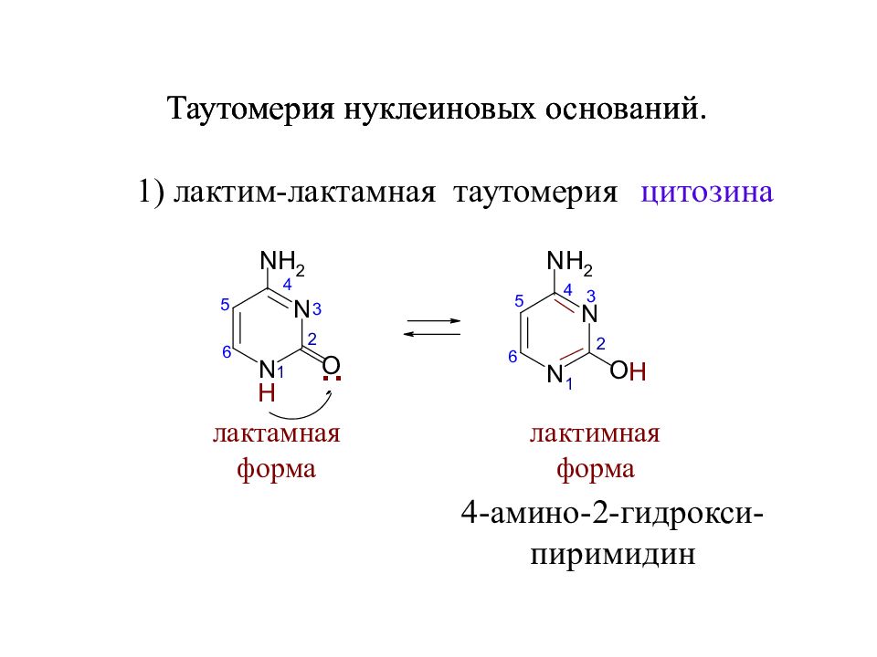 Схема таутомерных превращений гуанина