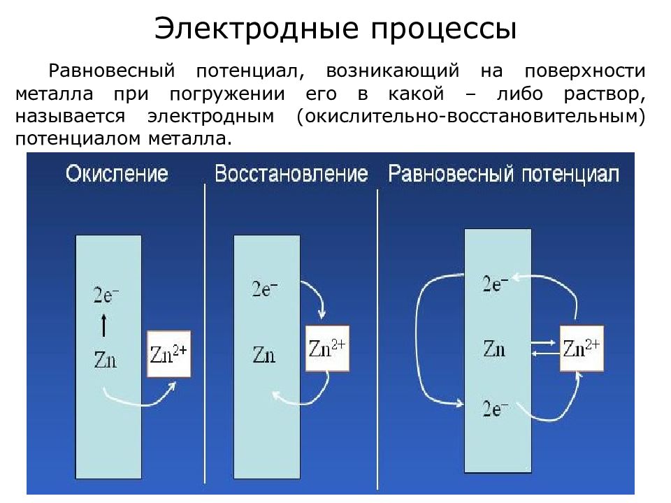 Электродный потенциал. Схема электрода равновесного потенциала. Электроды, электродные процессы. Равновесные электродные процессы. Схема электродных процессов.