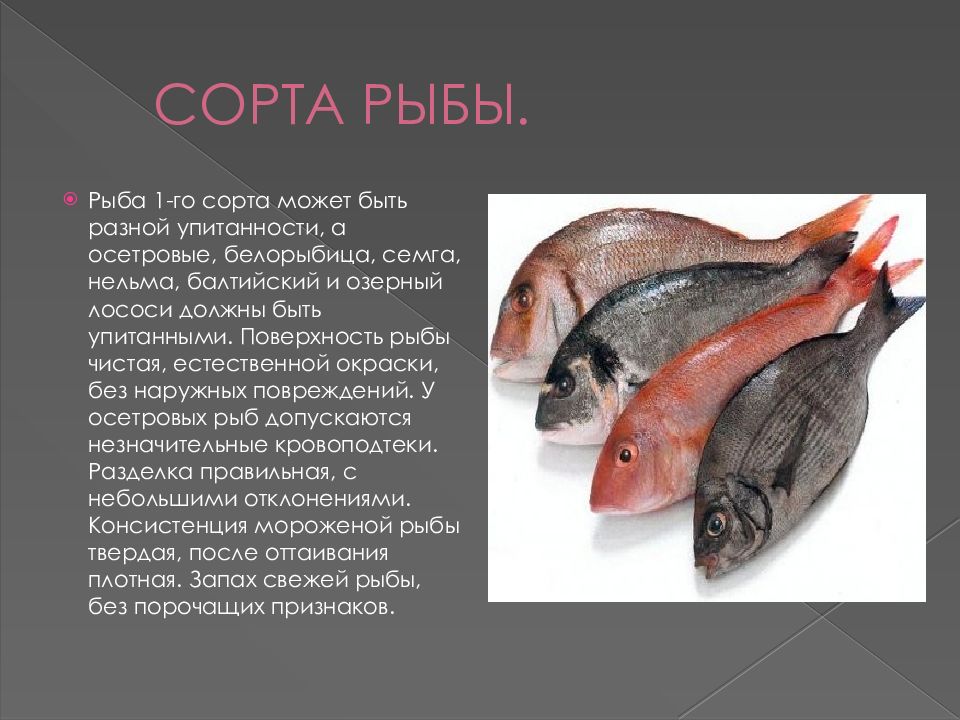 Сорт рыбы