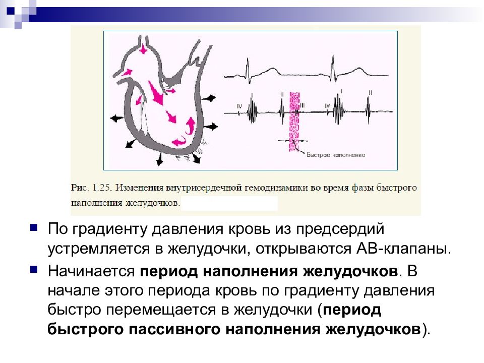 Градиент давления. Градиент давления сердца. Градиент давления в сердце норма. Период наполнения желудочков кровью. Определить градиент давления крови.