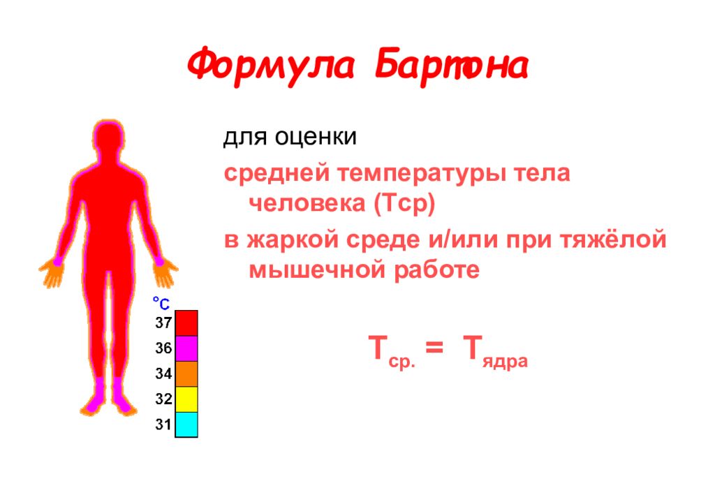 О чем говорит температура тела 35 5. Температура тела человека. Средняя температура тела человека. Температура ядра тела человека.