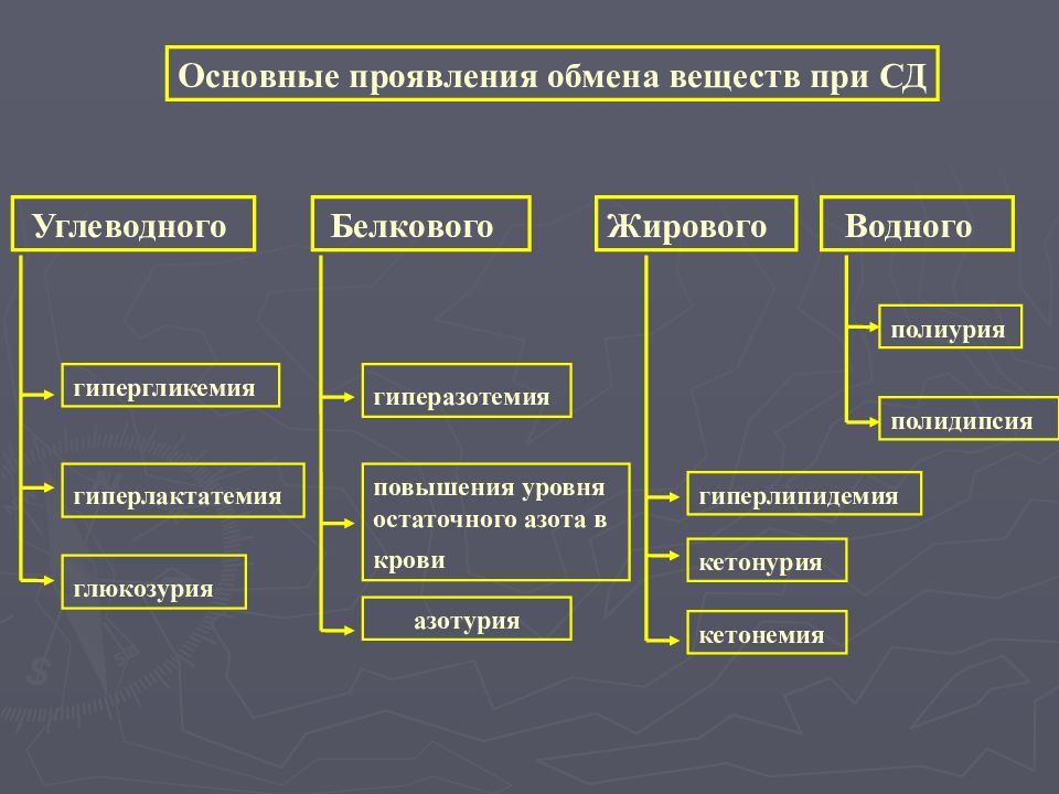 Основные проявления. Типовые формы нарушения белкового обмена. Типовые формы патологии углеводного обмена. Типовые формы нарушения углеводного обмена. Общие проявления патологии углеводного обмена.