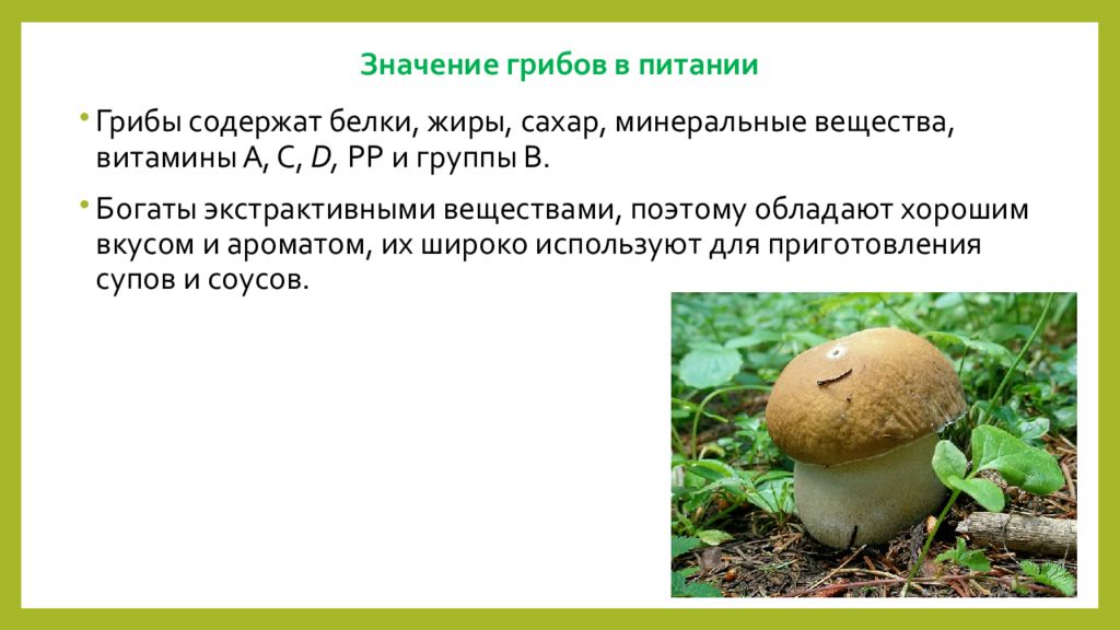 Сообщение значение грибов в природе. Значение грибов. Значение грибов в питании. Значение грибов в питании человека. Грибы в жизни человека и в природе.