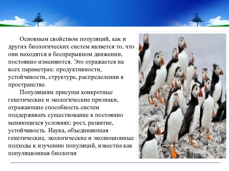 Значение изучения популяций и видов презентация 10 класс