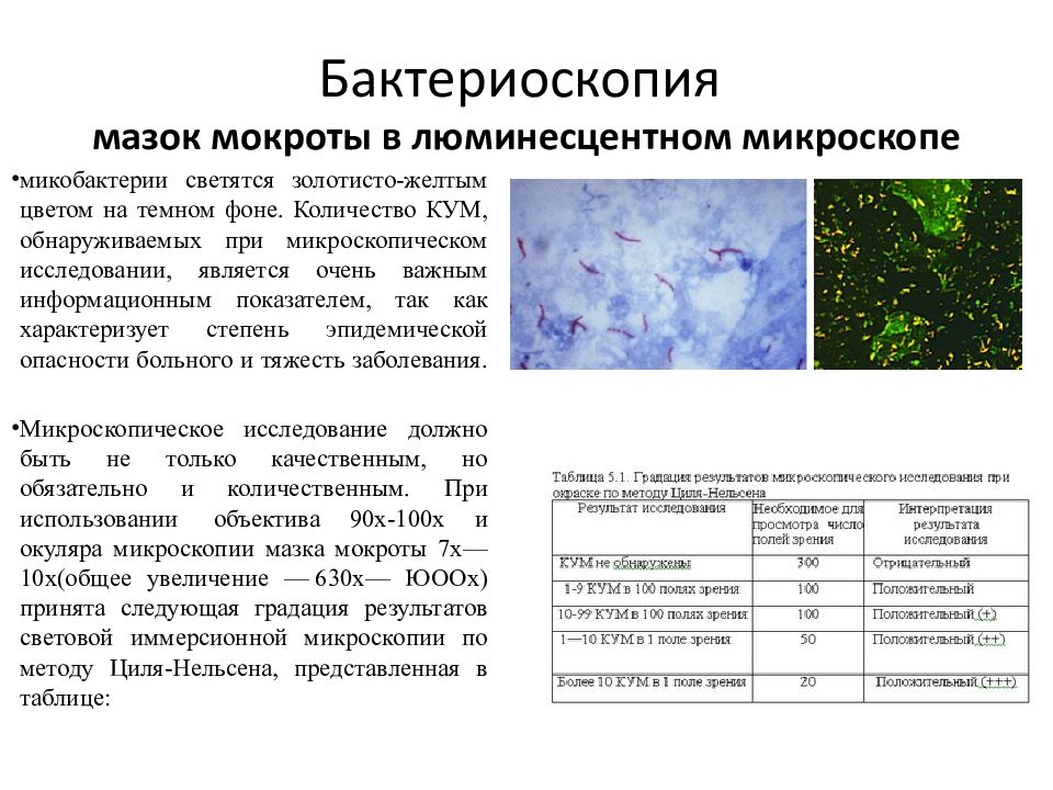 Микробиологическая диагностика туберкулеза