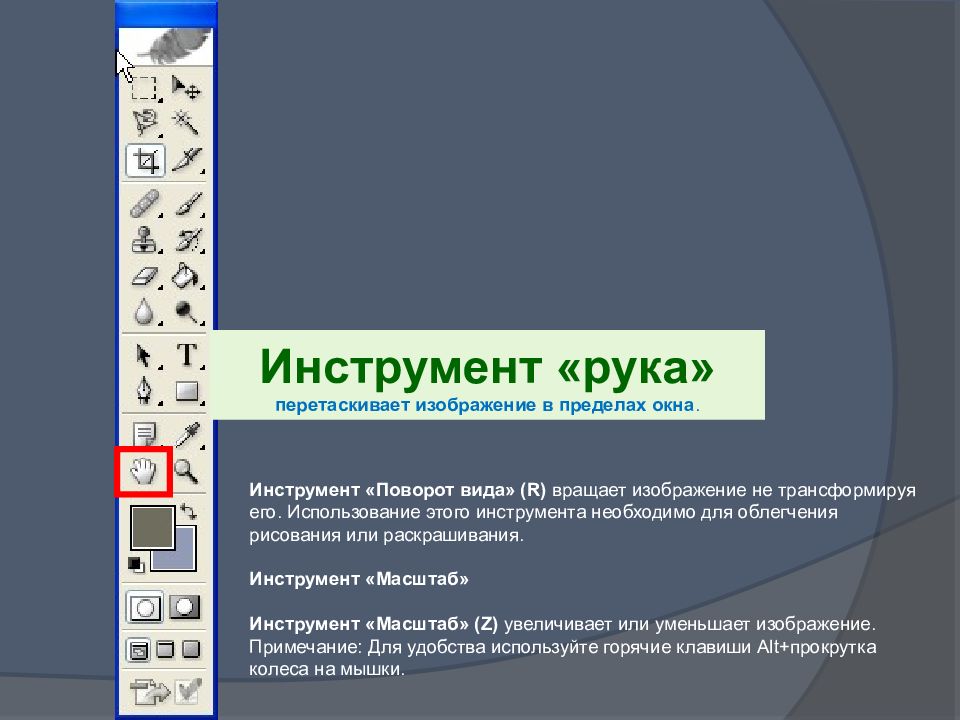 Инструменты выделения растрового редактора. Инструмент масштаб. Инструмент масштабирования в фотошопе. Инструмент поворота. Растровые редакторы.