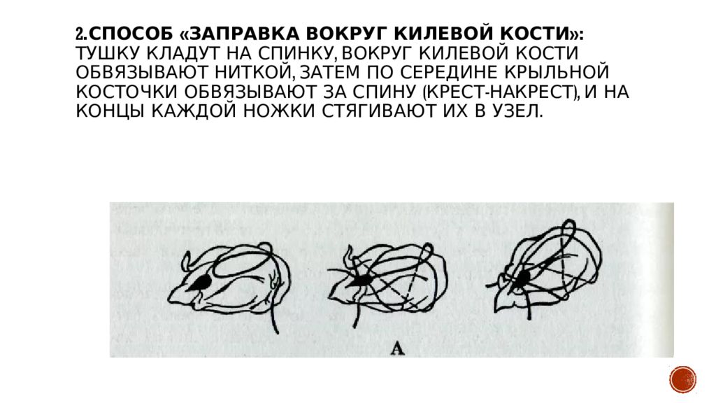 Первичная обработка птицы презентация