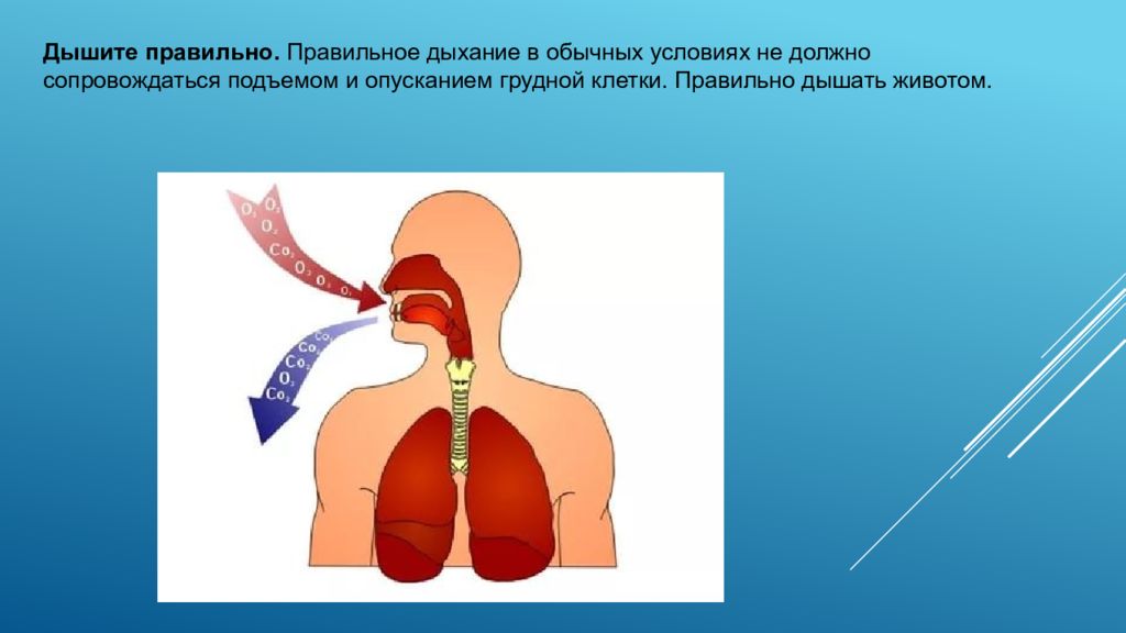 Гигиена дыхания презентация