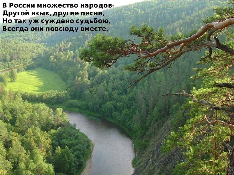 тема: « Башкирская национальная кухня »