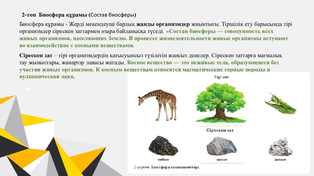 Қайырлы күн,оқушылар!