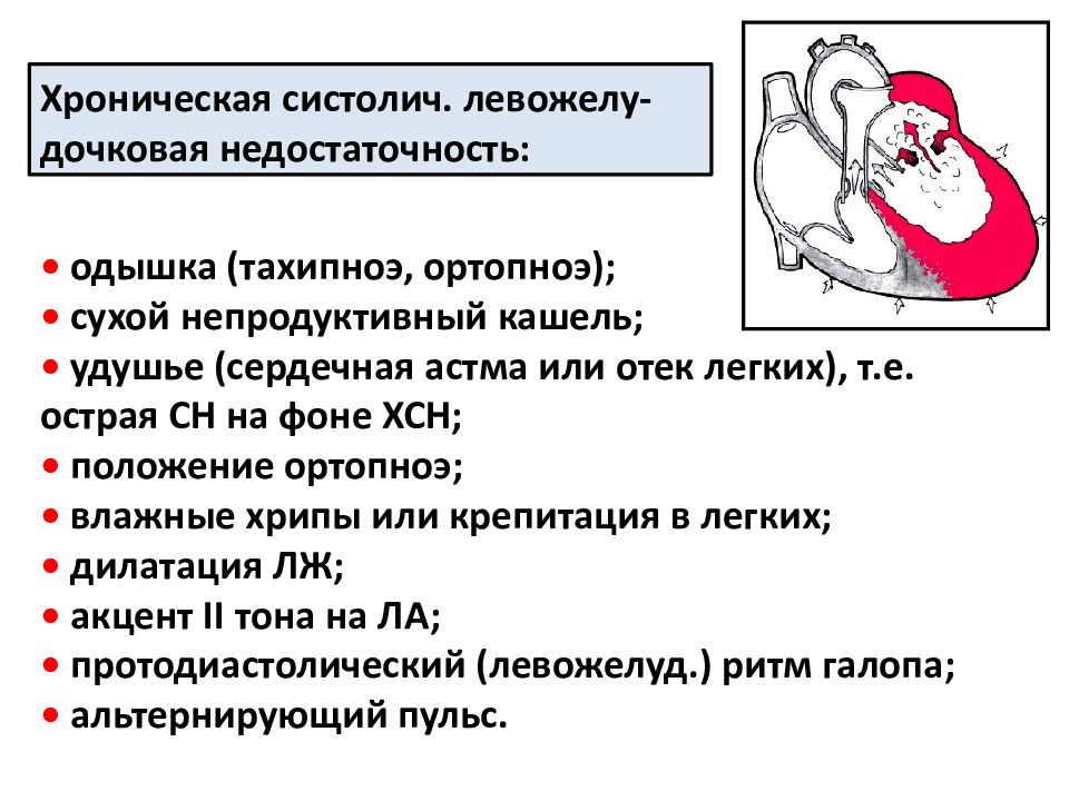 Тахипноэ одышка. Положение ортопноэ при дыхательной недостаточности. Альтернирующий пульс. Альтернирующий пульс у животных. Удушающий кашель.