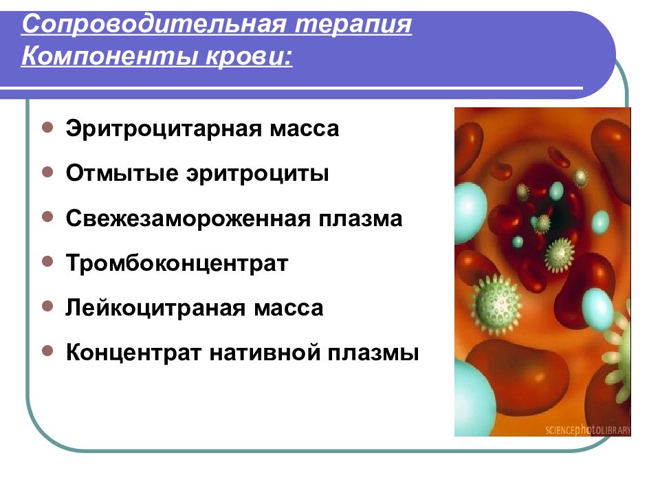 Презентация на тему миеломная болезнь