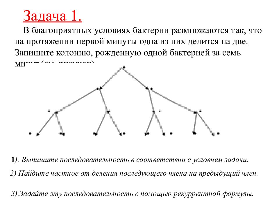 Методы задания структур. Задача о размножении бактерий. Бактерии размножаются задача. Задача о размножении бактерий Алгебра 11 класс.