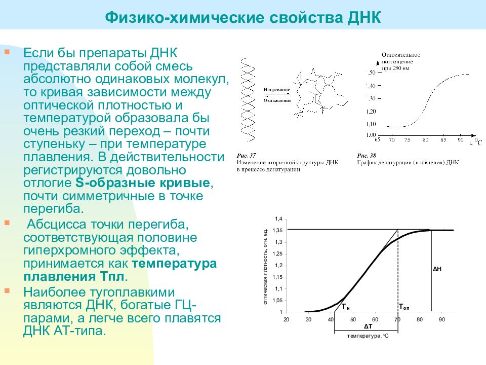 Температура плавления на графике. Кривая плавления ДНК. Температура плавления ДНК. Кривые плавления. Генетическая температура.