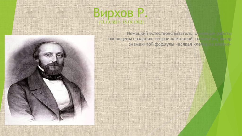 Ученые внесшие вклад в развитие клеточной теории. Вирхов. Теория целлюлярной патологии р Вирхова. Открытие Вирхова в биологии. Вклад Вирхова в развитие патологической анатомии.