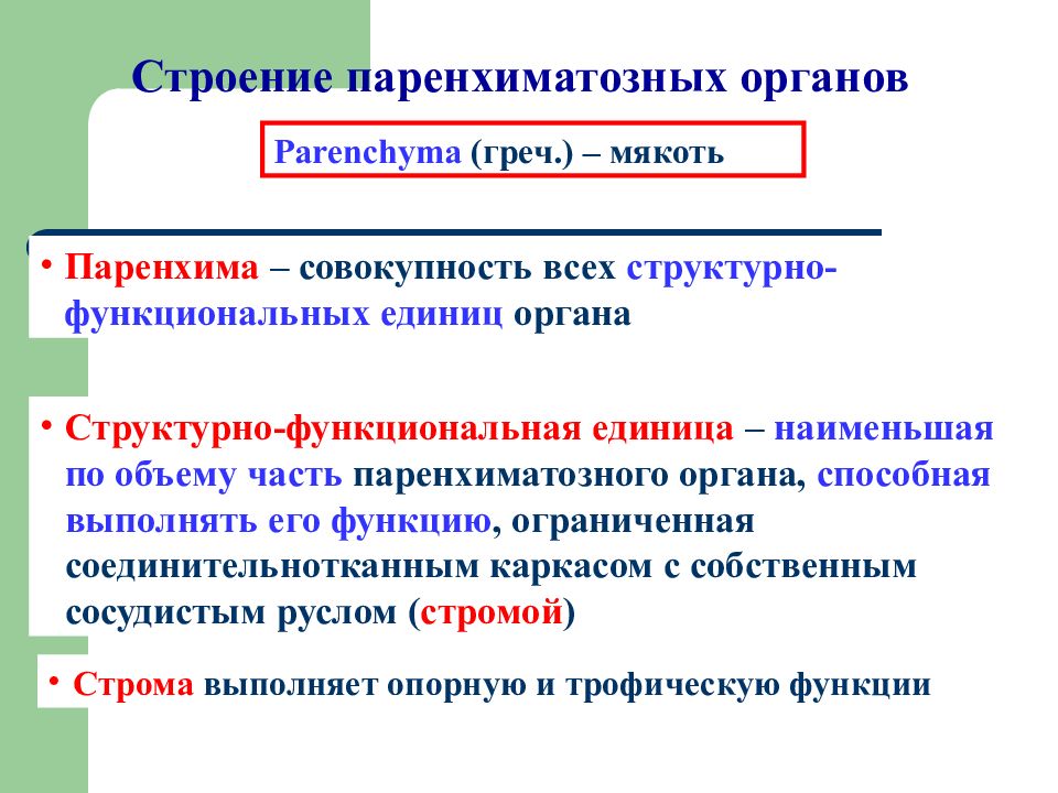 Функции зрительного органа. Функции органов при лихорадке. Структурно-функциональная единица паренхиматозного органа. Функции законодательных органов власти. Структурно-функциональная единица паренхиматозного органа.