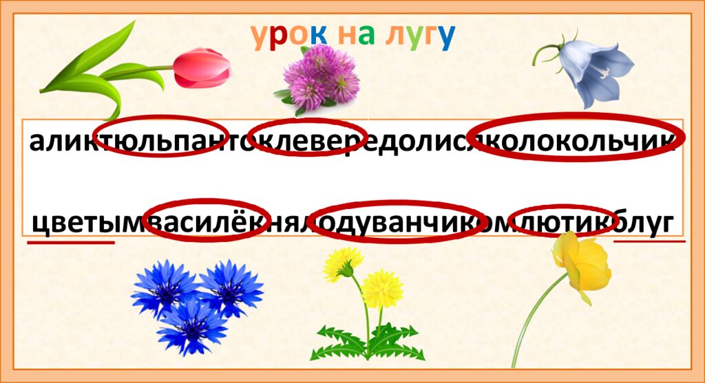 аликтюльпантоклевередолислколокольчик цветымвасилёкнялодуванчикомлютикблуг