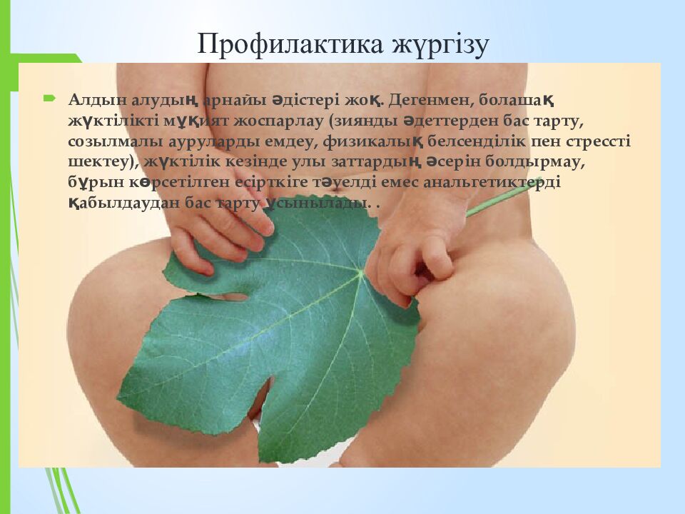 Профилактика жүргізу