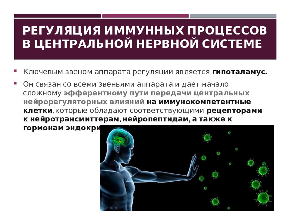 Нарушения иммунных процессов. Биологическая антисептика. Виды биологической антисептики. Биологическая антисептика прямого действия. Опосредованная биологическая антисептика.