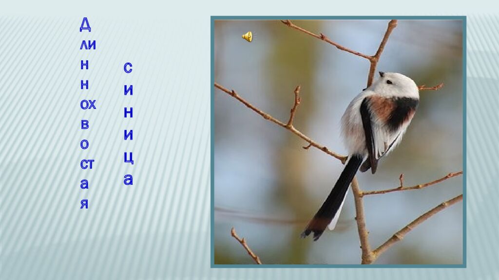 12 ноября – Синичкин день