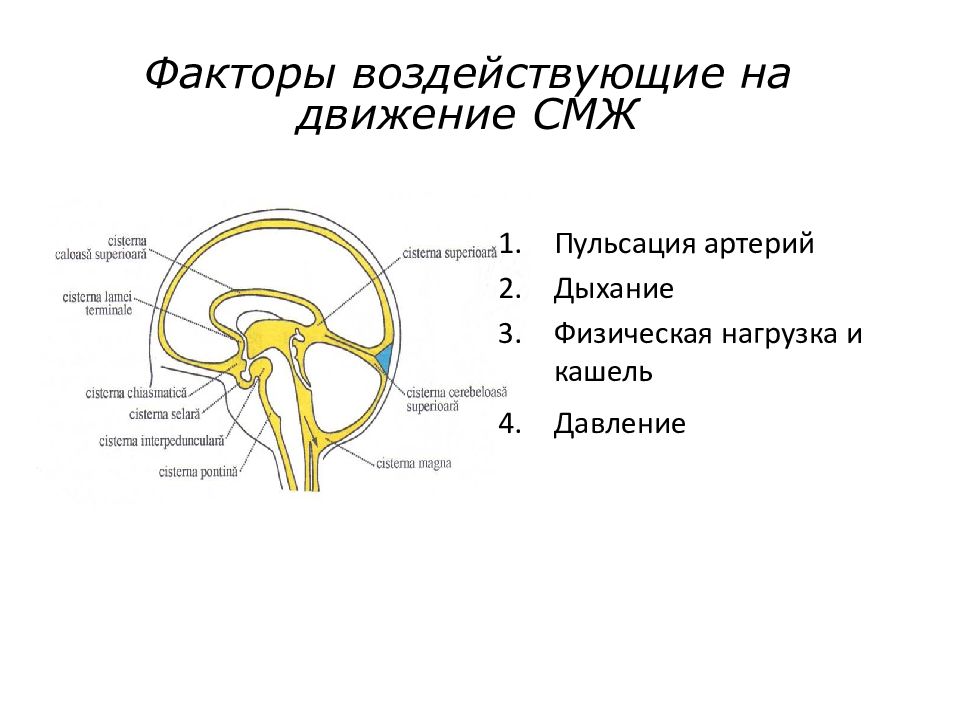 Артерия вдоха. Выпячивание оболочек спинного мозга что это такое. Оболочки спинного мозга схема. Спинномозговая жидкость анатомо-функциональная характеристика.