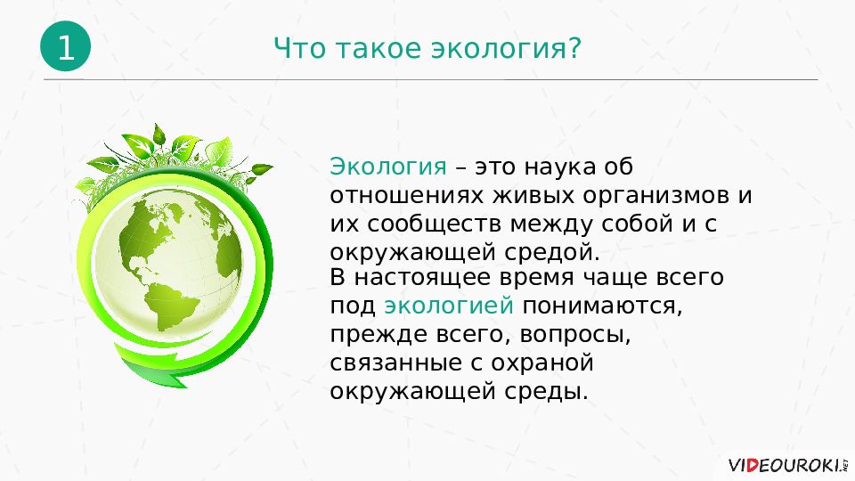 Презентация воздействие человека на природу 8 класс география презентация