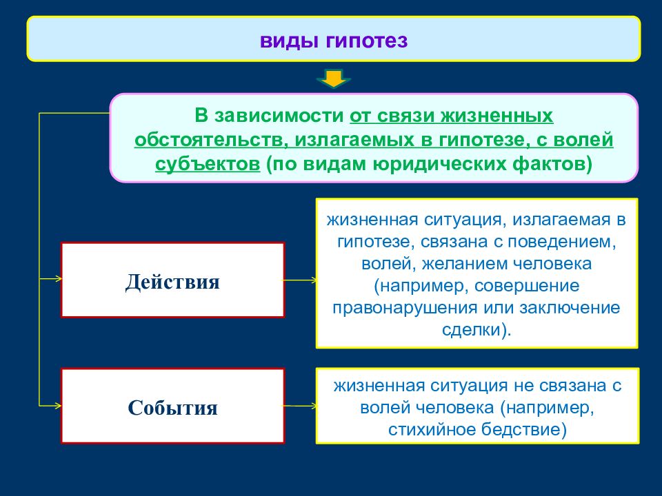 Субъект воли. Виды юридических фактов по связи с волей субъектов. Виды гипотез правовых. Виды гипотез правовых норм. Нормы права теория государства и права.