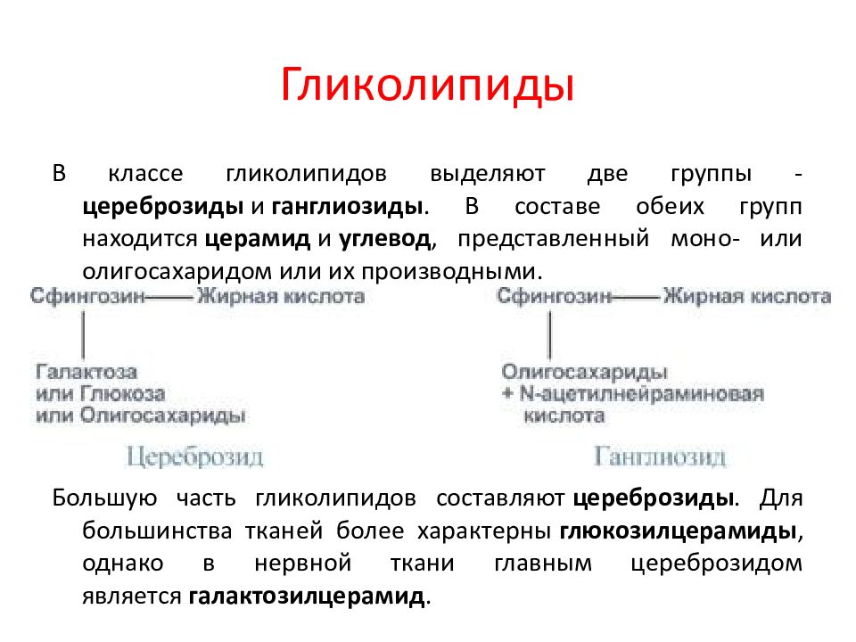 Антитела к ганглиозидам. Цереброзиды и ганглиозиды. Гликолипиды функции. Цереброзиды функции. К гликолипидам относятся.