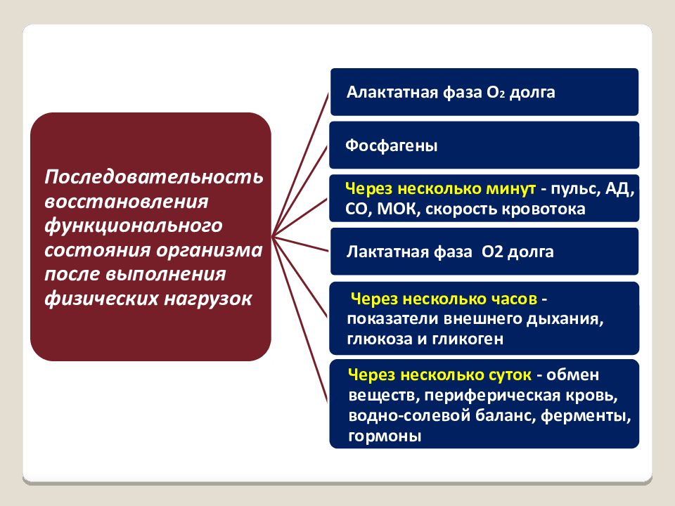 Физиология физического воспитания и спорта