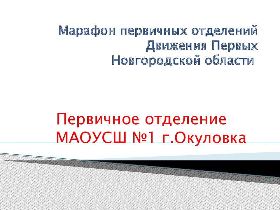 Марафон первичных отделений Движения Первых Новгородской области