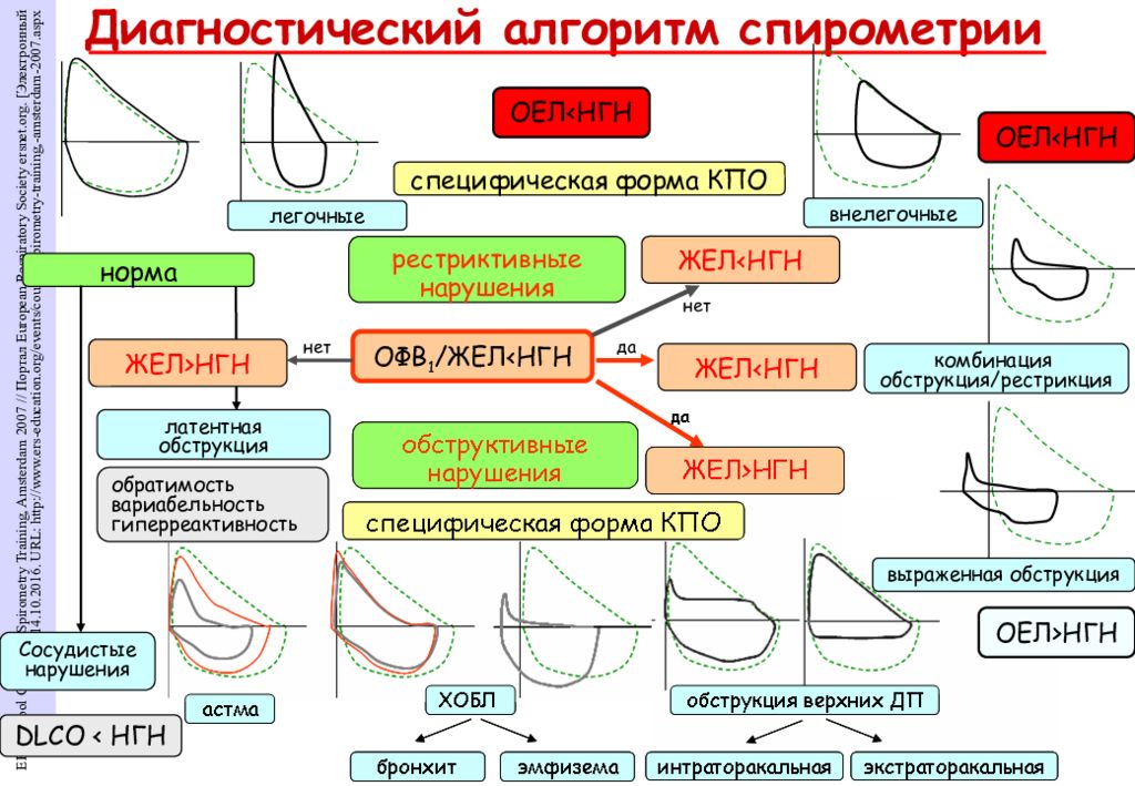 Спирометрия жел норма