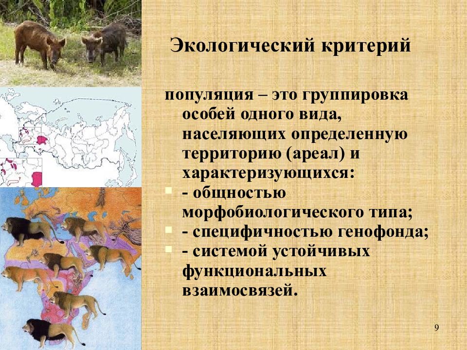 Вид особей. Критерии популяции. Популяционный ареал вида. Экологический критерий популяционно. Критерии вида популяции.