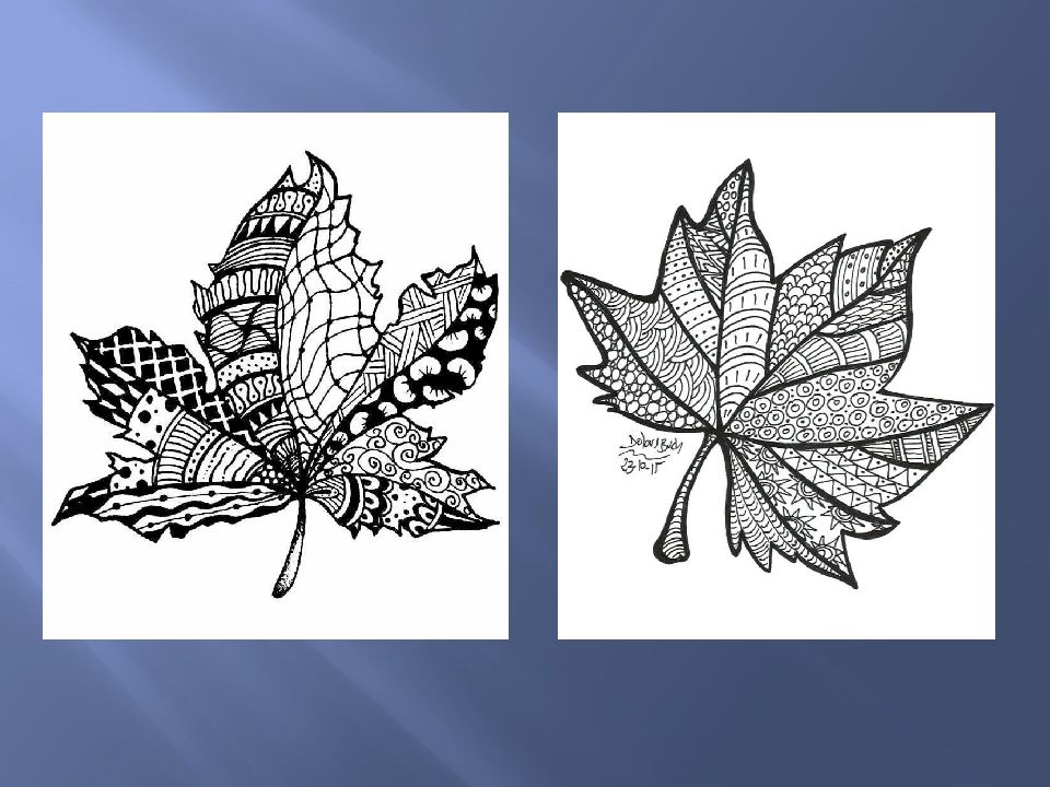 Рельеф из растительных форм 3 класс. Рельеф из растительных форм 3 класс. Дубовые листья барельеф. Гипсовая розетка пятилистник академический рисунок. Рельеф лист аканта гипс.