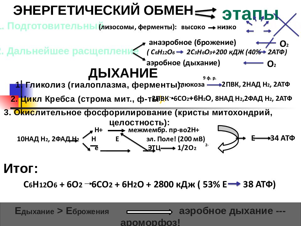 Мир как единое целое презентация