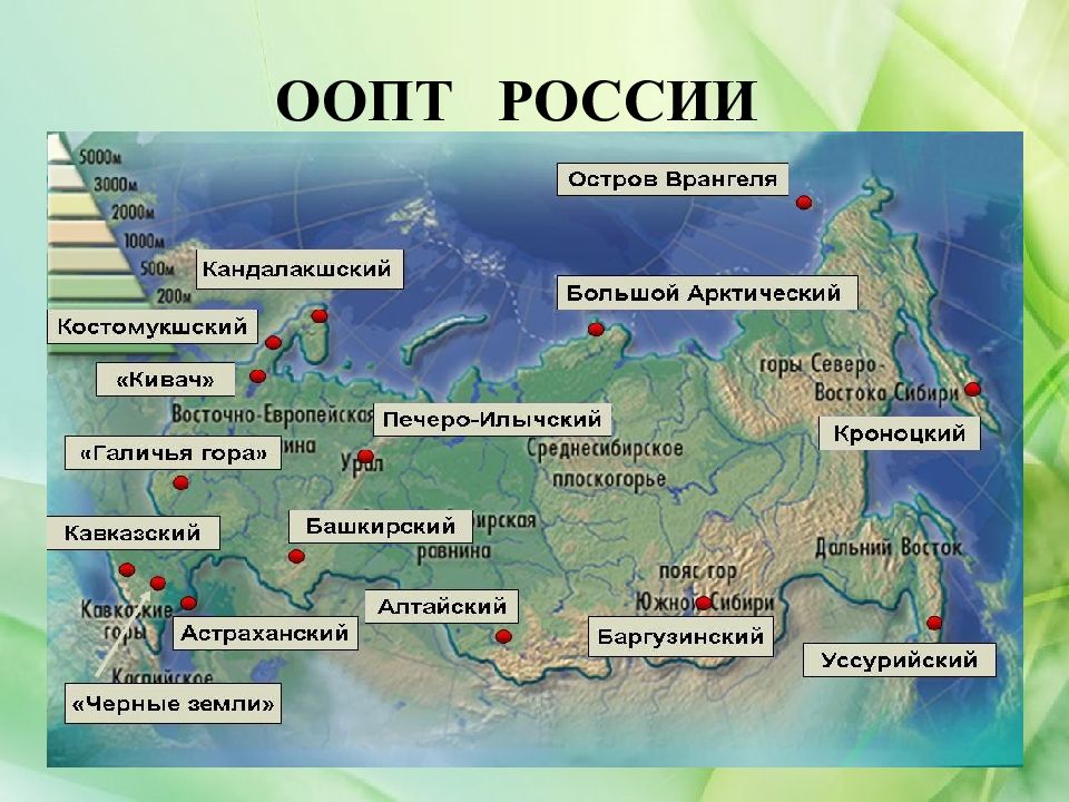 Заповедник россии презентация 8 класс география