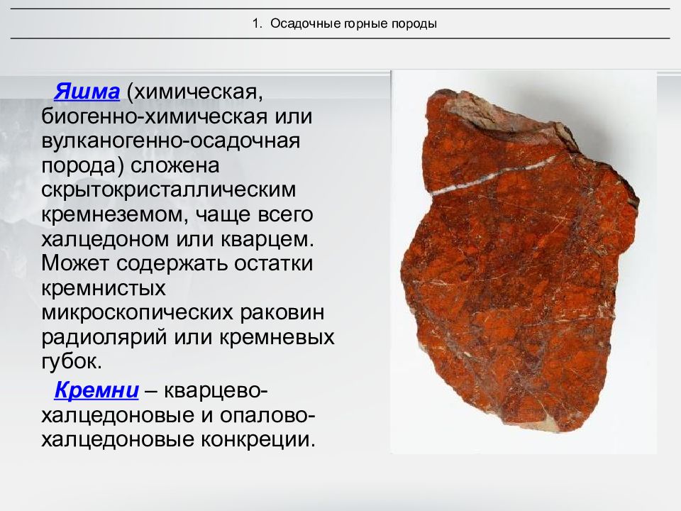 Какой возраст слагающих пород. Вулканогенно-осадочные породы. Биогенные кремнистые породы. Вулканогенно обломочные осадочные породы. Вулканогенно-осадочные породы примеры.