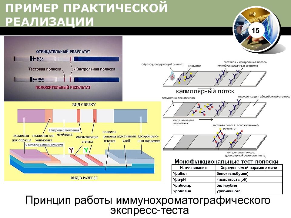 Пример практической реализации. Иммунохроматографического экспресс-теста. Принцип работы иммунохроматографического экспресс-теста. Мембрана для иммунохроматографического. Принцип иммунохроматографического метода.