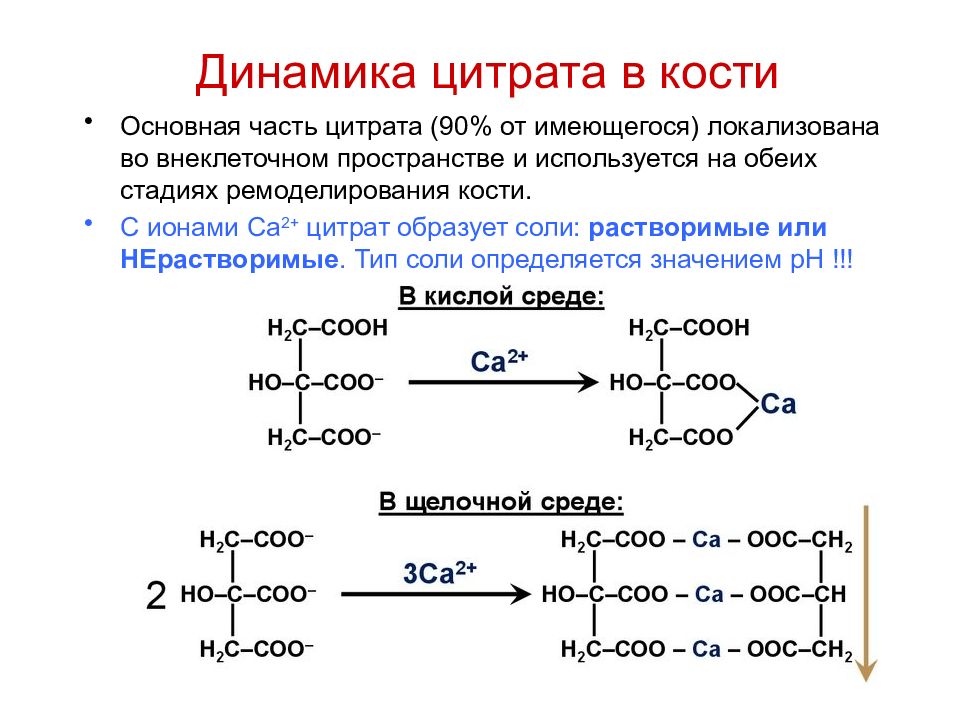 Кости в кислоте. Метаболизм хрящевой ткани биохимия. Ремоделирование костной ткани биохимия. Формирование костной ткани биохимия. Биохимия костной ткани презентация.