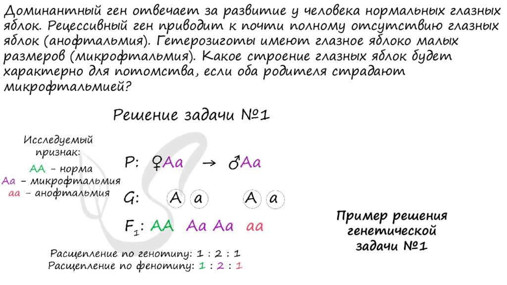 ЗАДАЧИ НА ДИГИБРИДНОЕ СКРЕЩИВАНИЕ