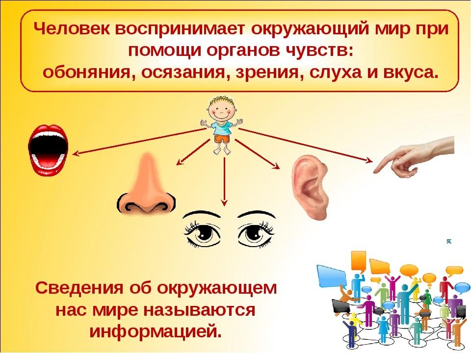 Как люди воспринимают информацию на слайде презентация