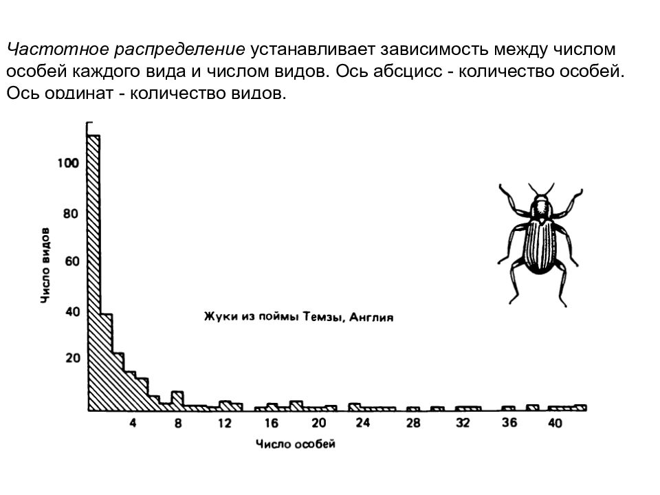 Зависимость между количеством. Частотное распределение. Зависимость число видов численность. Графики распределения особей. Кривая зависимости между числом видов и числом особей.