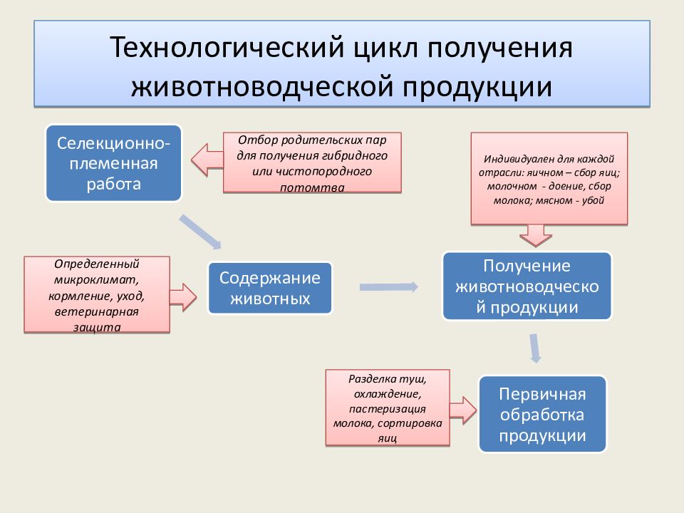 Профессии агропромышленного комплекса презентация