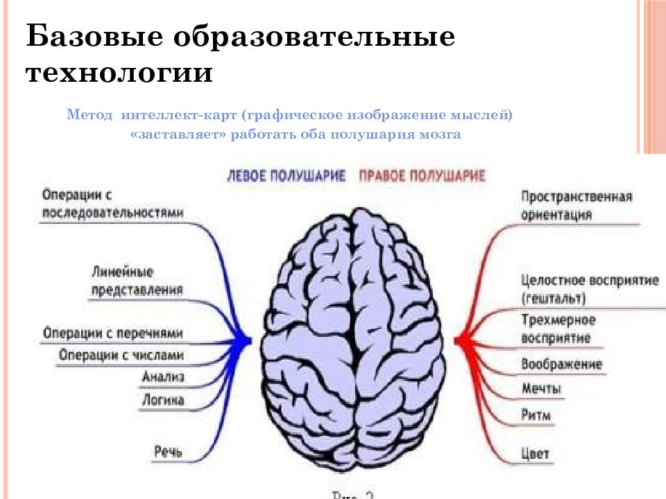 Левое и правое полушарие мозга. За что отвечает левое и правое полушарие. Правое и левое полушарие мозга за что отвечают. Работа правого и левого полушария. Полушария и руки