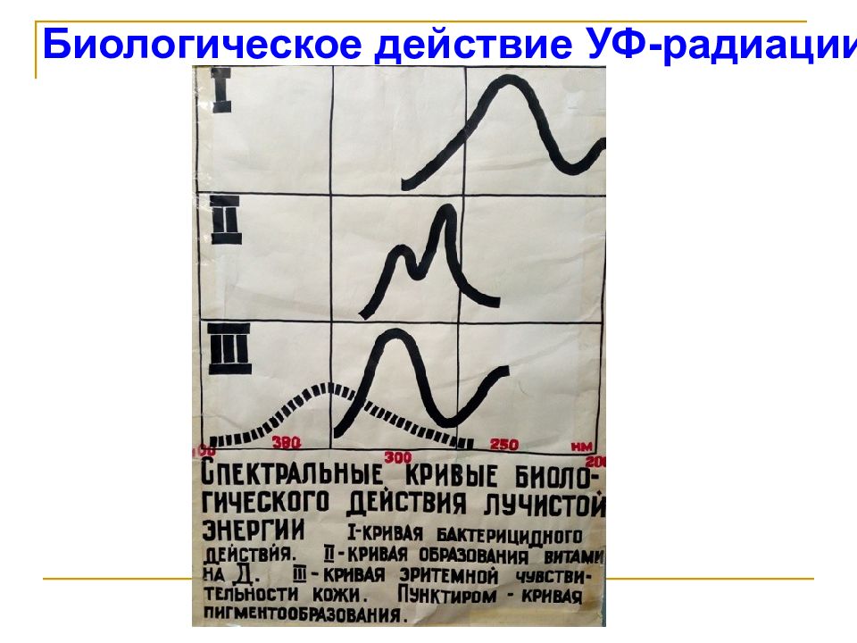 Уфу излучение. Биологическое действие инфракрасной радиации. Гигиеническое значение инфракрасной радиации. Ультрафиолетовая радиация гигиеническая оценка. Биологическое действие ультрафиолетового излучения на животных.